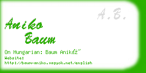 aniko baum business card